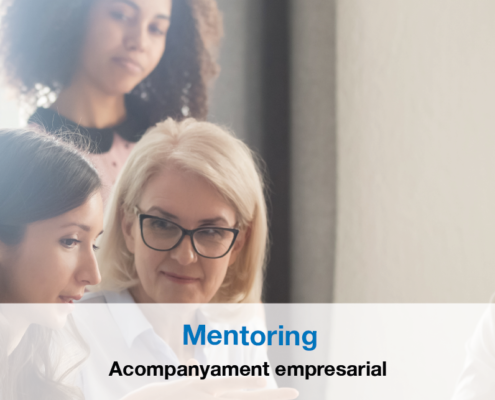 Mentoring - Acompanyament empresarial