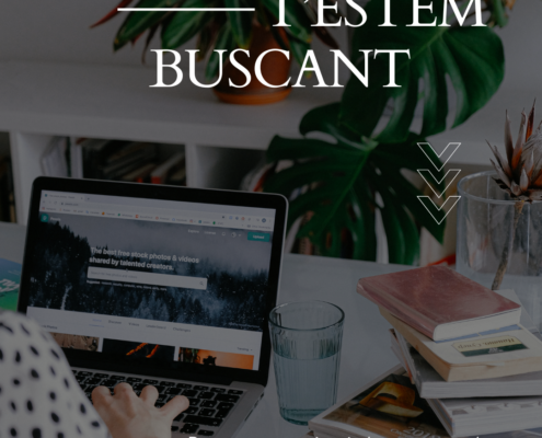 Busquem un tècnic/a assessor/a en estratègia i creixement empresarial