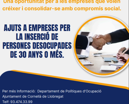 Subvenció Integral Plus: ajuts a empreses per a la inserció de persones aturades de 30 anys o més Subvenció Integral Plus: ajuts a empreses per a la inserció de persones aturades de 30 anys o més