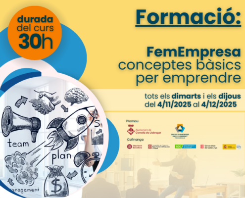 FemEmpresa: aprèn els conceptes bàsics per emprendre!