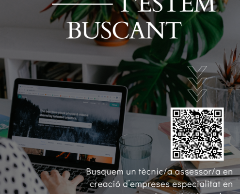 Busquem un tècnic/a assessor/a en creació d'empreses especialitat màrqueting i vendes.