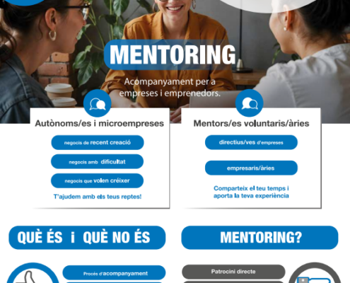 PROGRAMA DE MENTORING