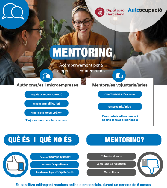 Flyer mentoring 2026 sin AO