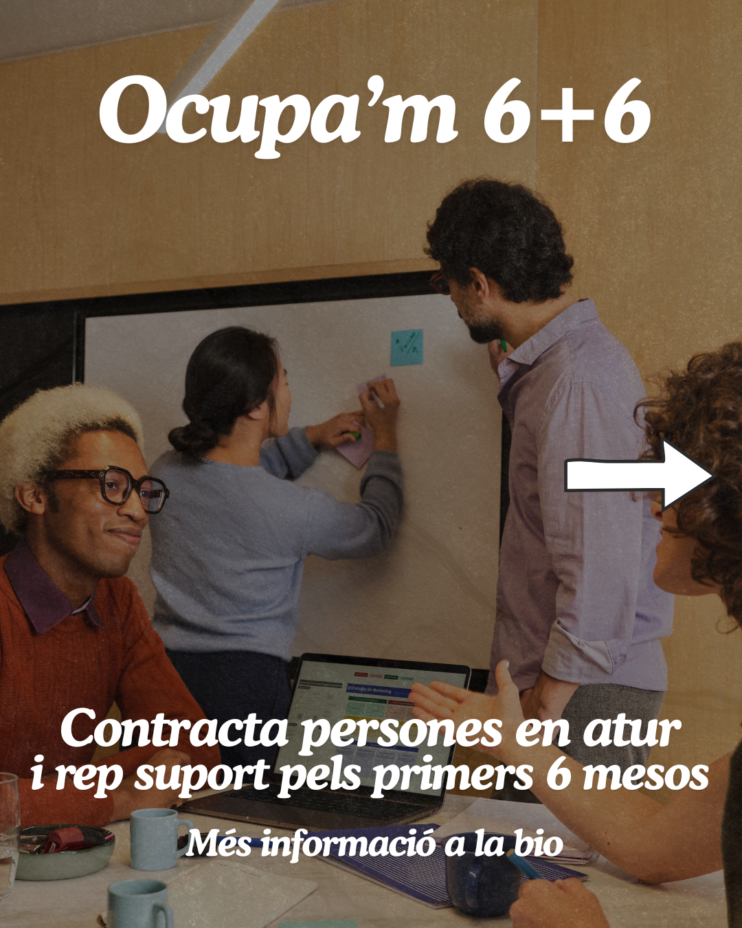 Ocupa’m 6+6