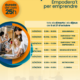 FEM EMPRENEDORES