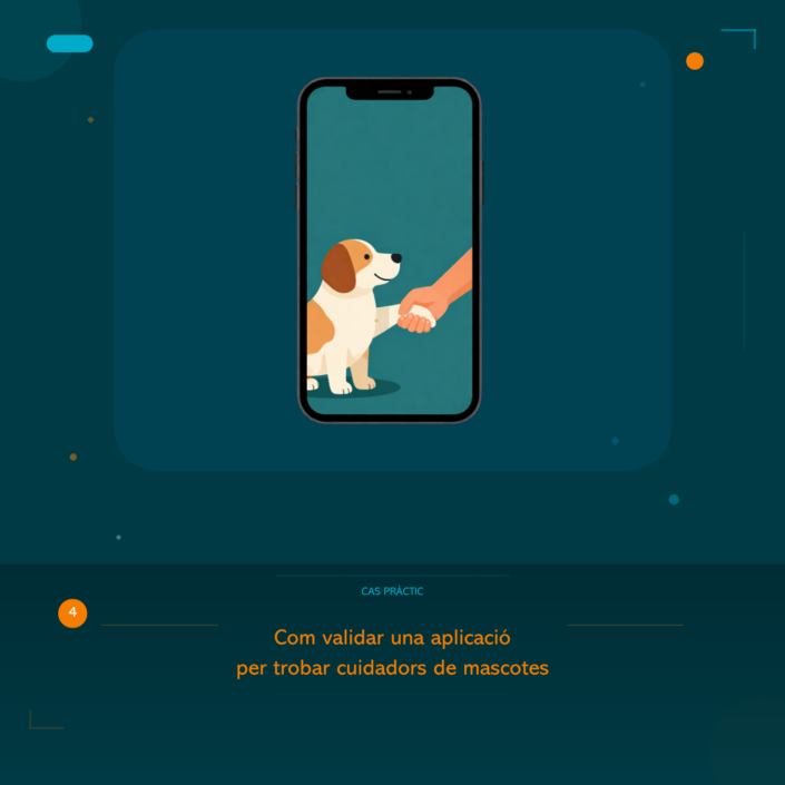 Com validar una aplicacio